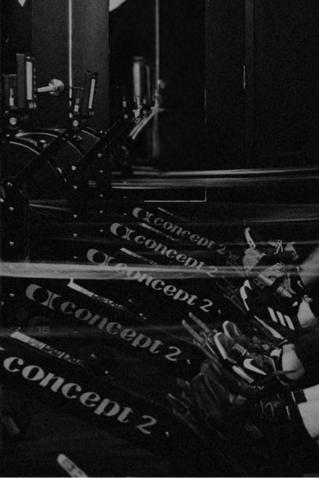 members rowing in swing